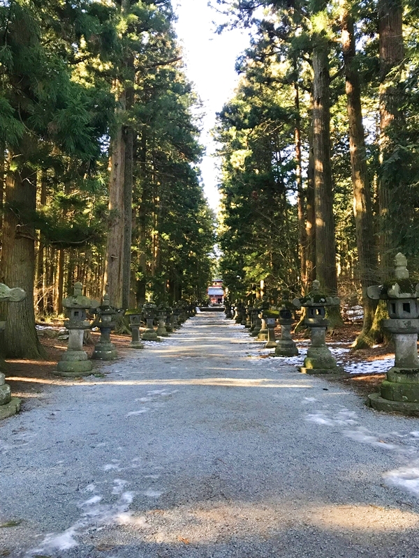 苔むした石灯籠が並ぶ北口本宮冨士浅間神社の参道