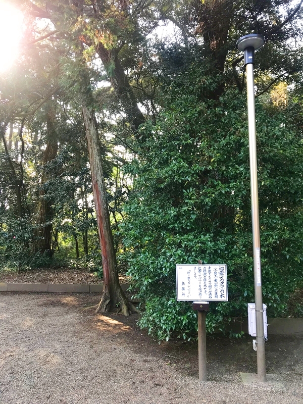 息栖神社の五柱合祀社と五つの神社が合祀された様子