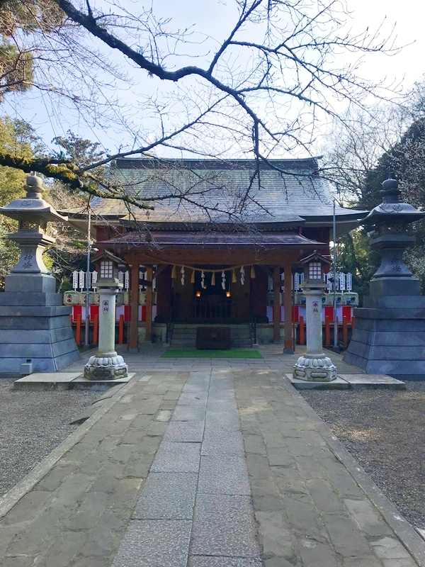 息栖神社の招霊の木と1円玉のデザインのもととなった木
