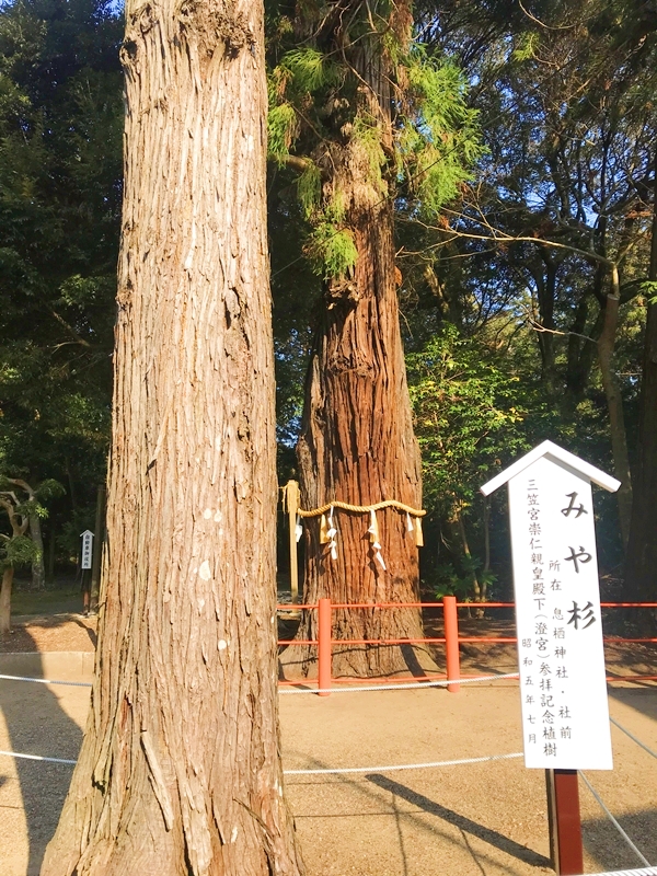 三笠宮崇仁親王御手植えの木と皇室ゆかりの史跡