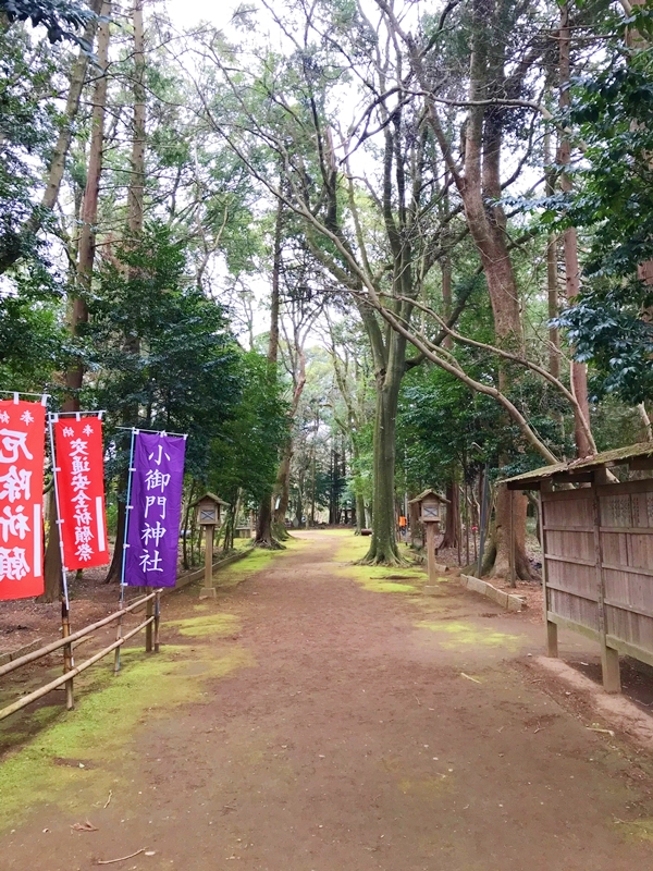 小御門神社の苔むした参道と鎮守の森｜静寂な雰囲気の神聖な空間
