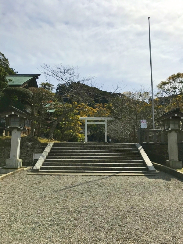 安房神社の桜の参道と二の鳥居の春の風景