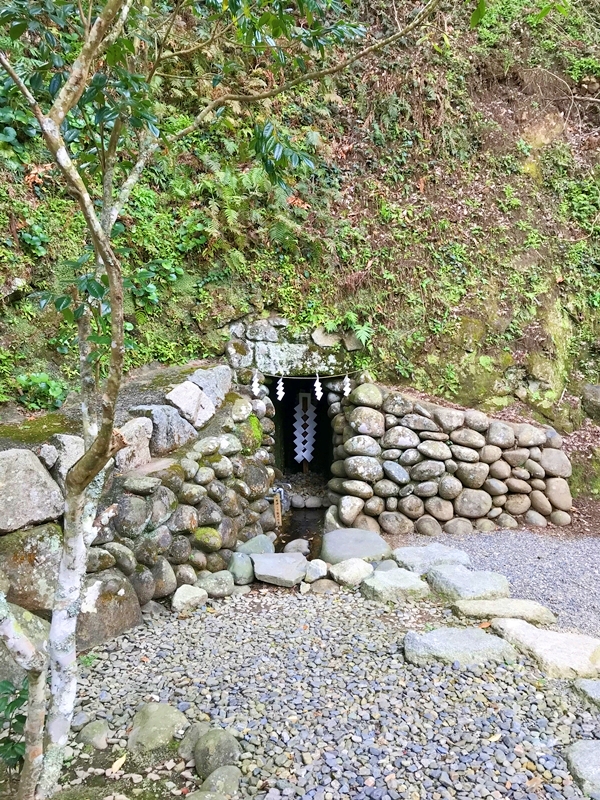 安房神社の御神水とご神木の槙の木