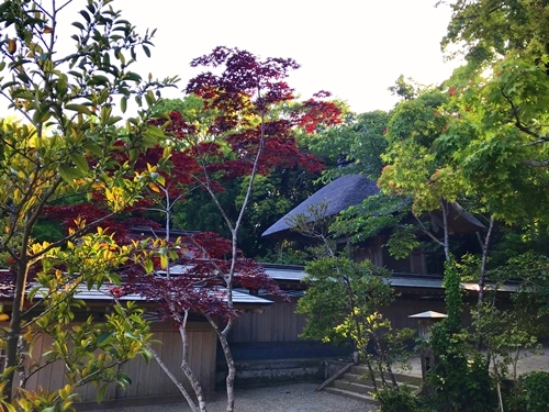 大洗磯前神社の拝殿と境内の全景