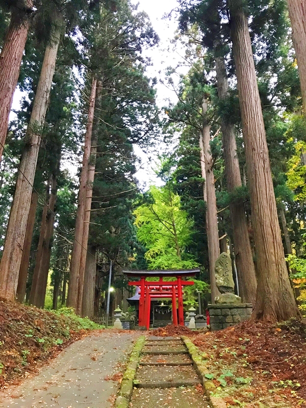 巌鬼山神社の緑豊かな参道と自然環境