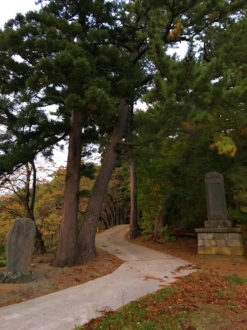 貴船神社十面沢の緑に囲まれた神秘的な参道