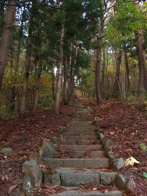 貴船神社十面沢の石段と奉納者の名前が刻まれた階段