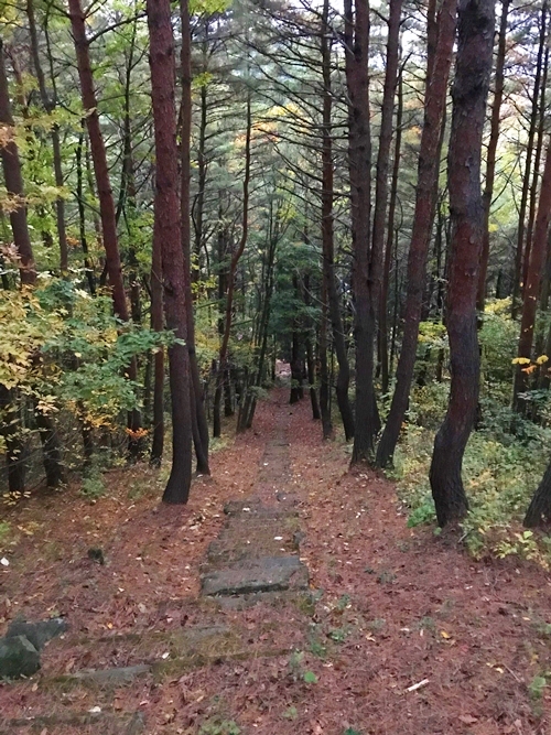 貴船神社十面沢の急な坂道と石段の全景