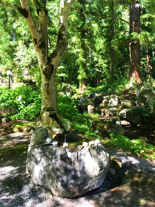 高照神社の特徴的な手水場の様子