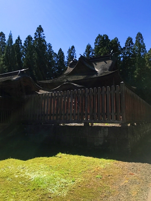 高照神社の本殿の建築美と重要文化財指定の社殿