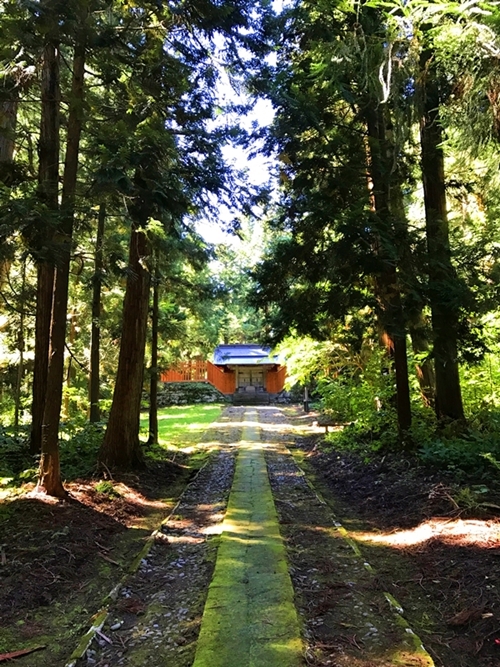 高照神社の廟所へ続く静謐な森の道