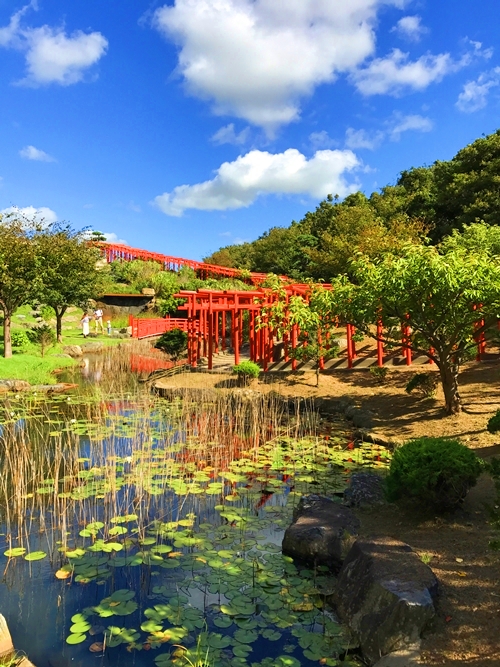 高山稲荷神社の千本鳥居の壮観な景色と朱色のコントラスト