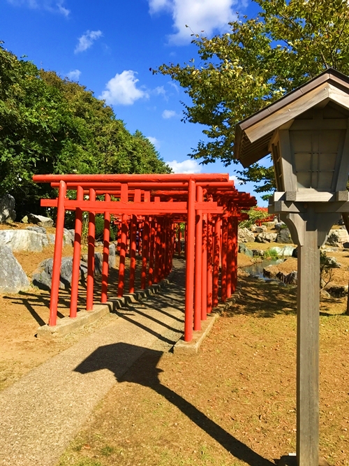 高山稲荷神社の千本鳥居の曲線美と連なる朱色のアーチ