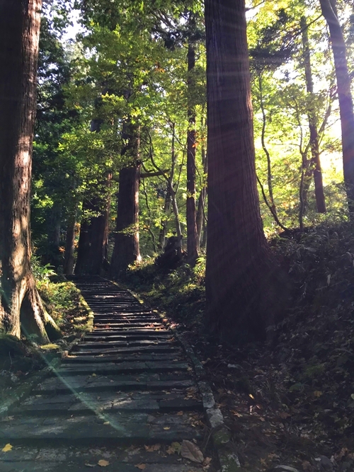 出羽三山神社 羽黒山の荘厳な参道と自然のパワースポット