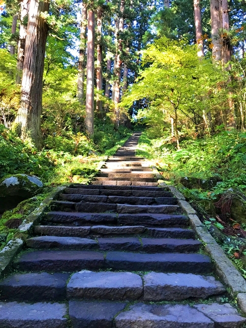 羽黒山 神秘的な参道と老杉の並木