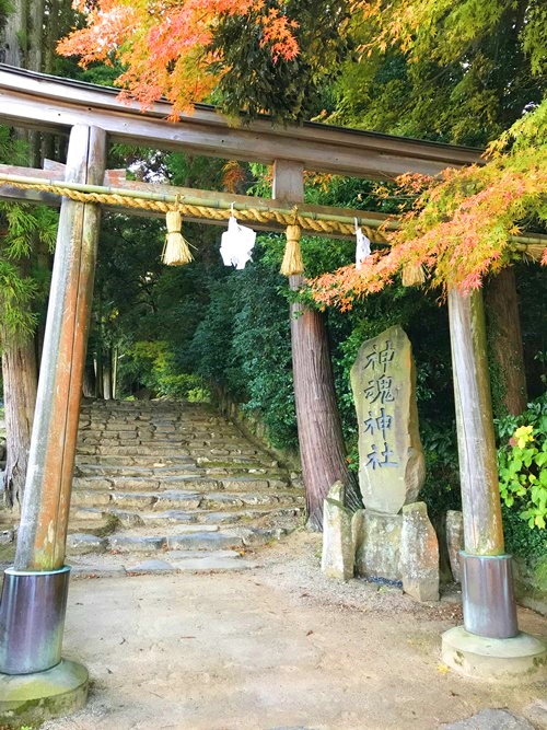 神魂神社 荘厳な鳥居と神聖な参道の様子