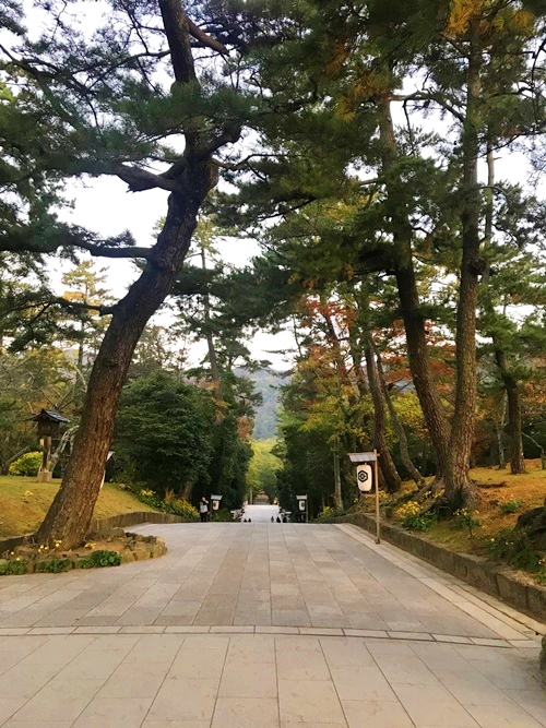 早朝の出雲大社参道｜天赦日のパワーがみなぎる神秘的な時間帯