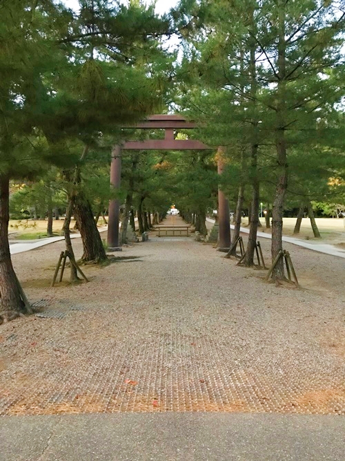出雲大社・松の参道｜パワースポットとしての清らかなエネルギーが感じられる道