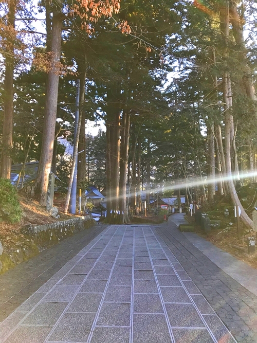 東口本宮冨士浅間神社の杉並木の参道