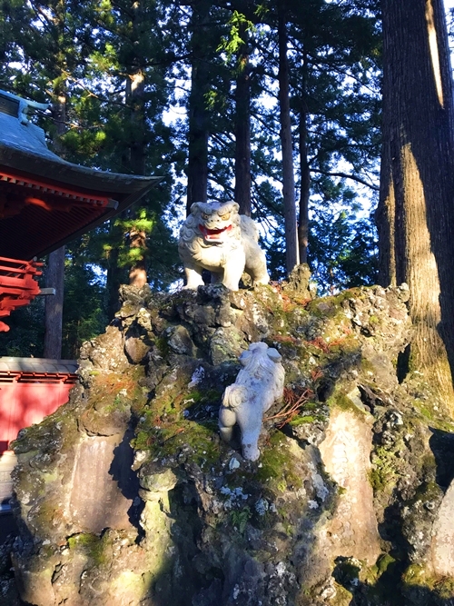 東口本宮冨士浅間神社の富士塚の狛犬