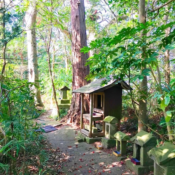 神崎神社の境内社と自然の調和｜神域の奥に鎮座する小社