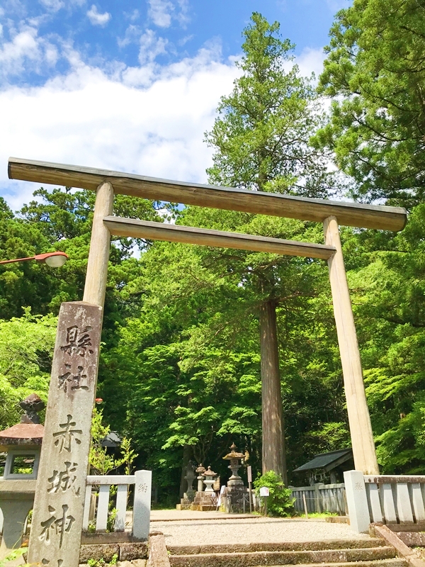 赤城神社の大鳥居。総本社の風格を示す大きな鳥居