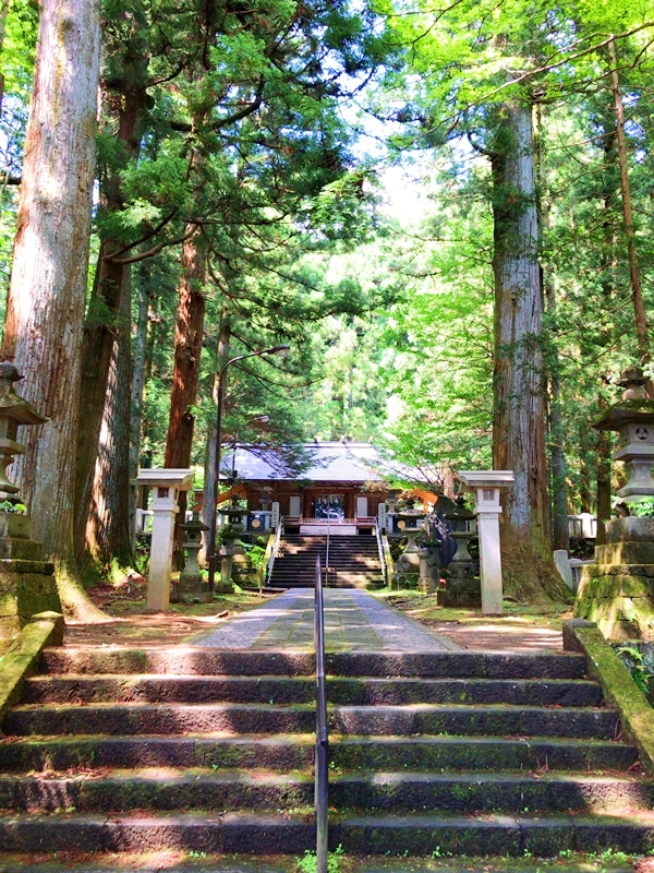 赤城神社の参道沿いの松並木。美しい日本の歴史的風土100選に選ばれた景観