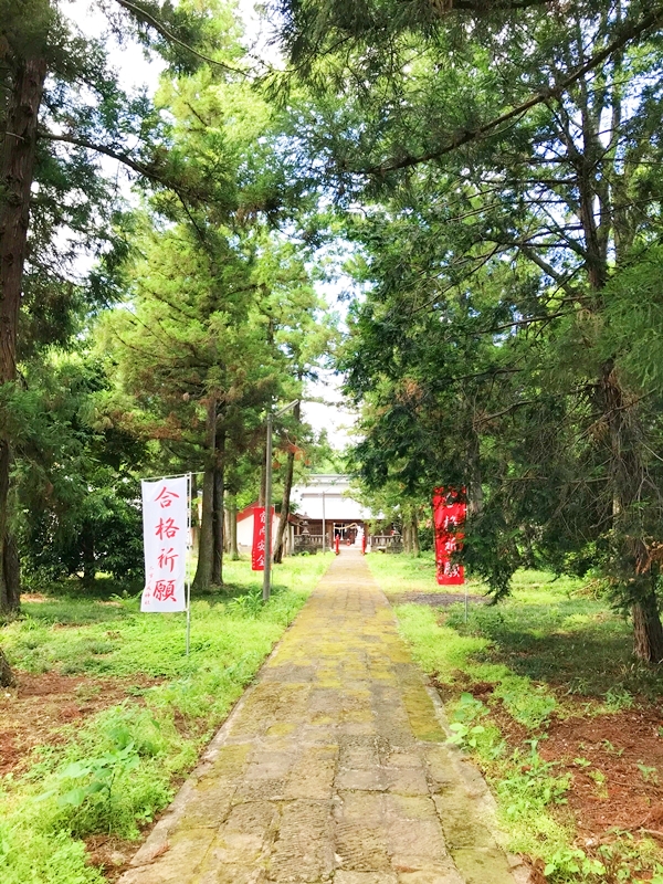 木々に囲まれた赤城神社［二宮］の参道。静寂に包まれる祈りの道