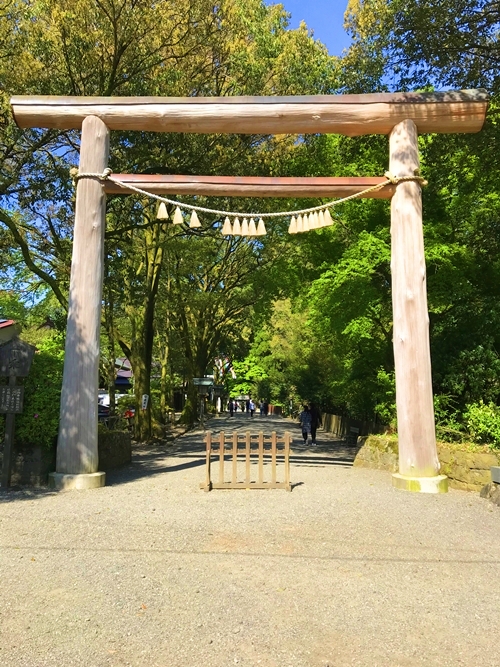 天岩戸神社の鳥居｜神聖な参道の入口｜新緑に包まれたアプローチ