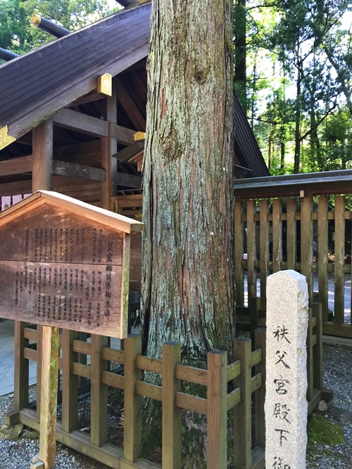 天岩戸神社の境内｜神聖な波動が感じられる空間｜古来からの信仰の場