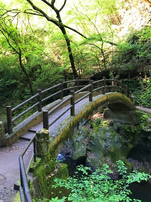 天安河原の太鼓橋｜苔むした情緒ある橋｜神話の世界への入口