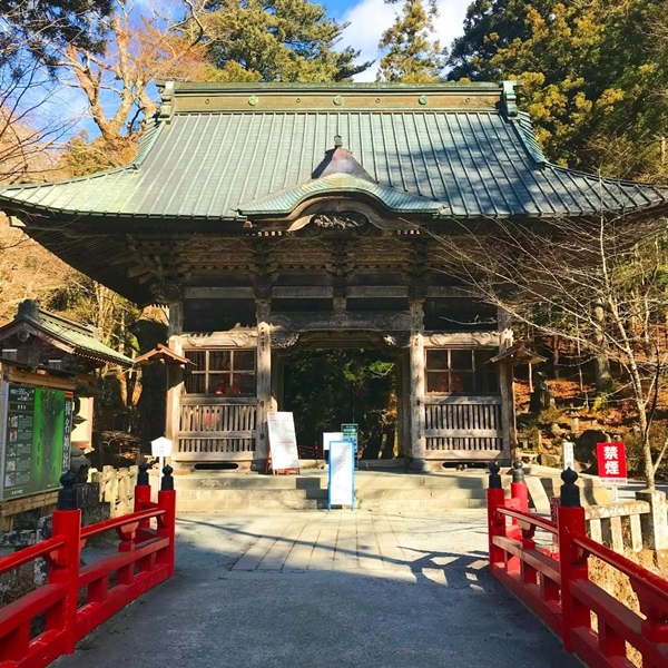 榛名神社 随神門の全景 朱色の門と周囲の緑のコントラスト
