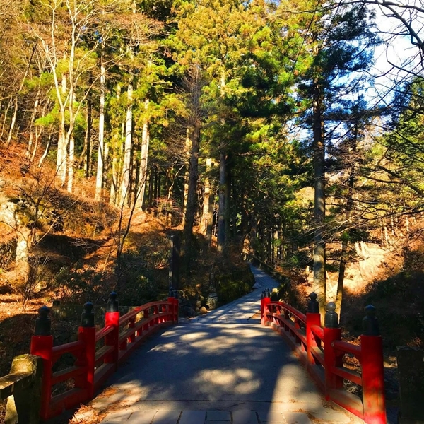 榛名神社参道 榛名川沿いに続く木漏れ日が美しい石畳の道