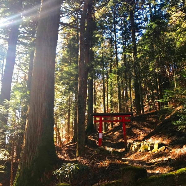 榛名神社 みそぎ橋と周辺の杉並木 苔むした石垣が風情を醸し出す