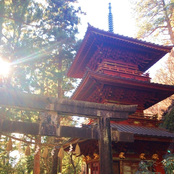 榛名神社 三重塔 周囲の杉木立と調和する歴史的な建築物