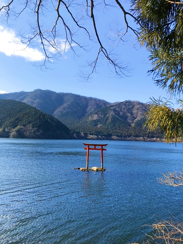 箱根神社と九頭龍神社を結ぶ湖畔の散策路から望む、静かな芦ノ湖の景観