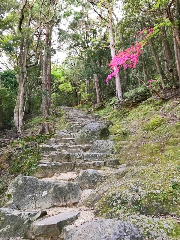 源頼朝寄進と伝わる神倉神社の自然石の参道