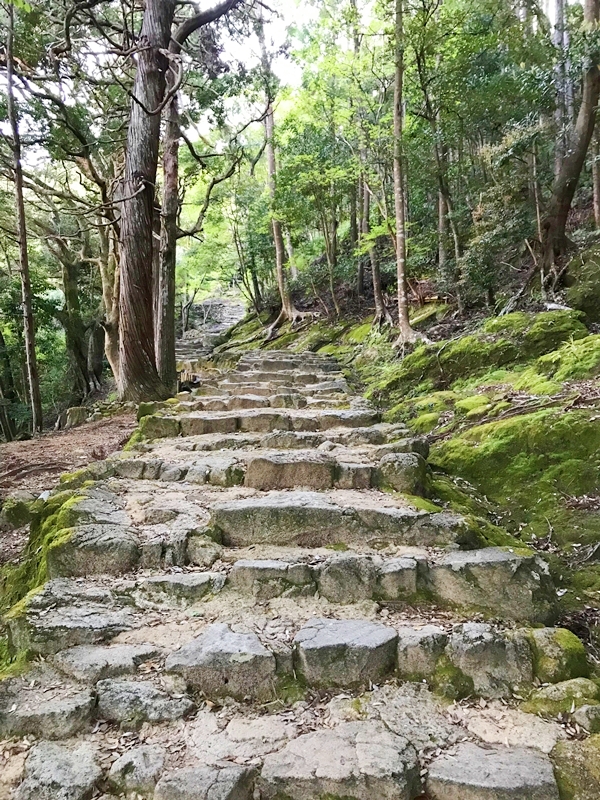 神倉神社の木々に囲まれた緩やかな参道