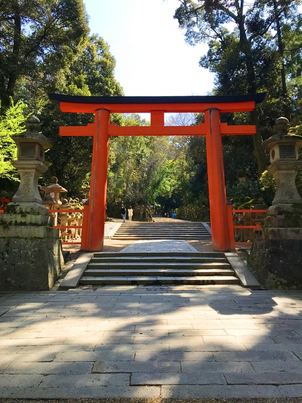 奈良公園から春日大社へ続く一の鳥居と緑豊かな参道の風景