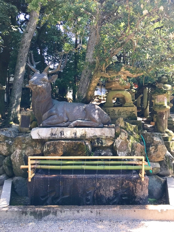 鹿の形をした吐水口が特徴的な春日大社の伏鹿手水所で手を清める様子