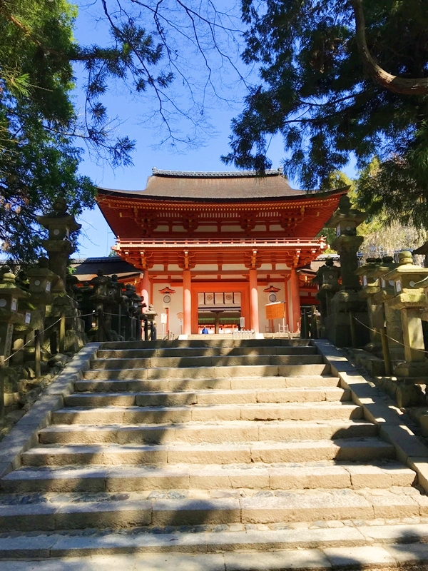 鮮やかな朱色が特徴的な春日大社の南門と春の枝垂桜
