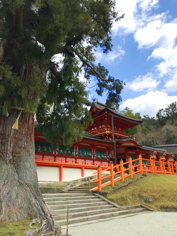 春日大社の国宝・本殿を囲む朱塗りの回廊と中門の荘厳な風景