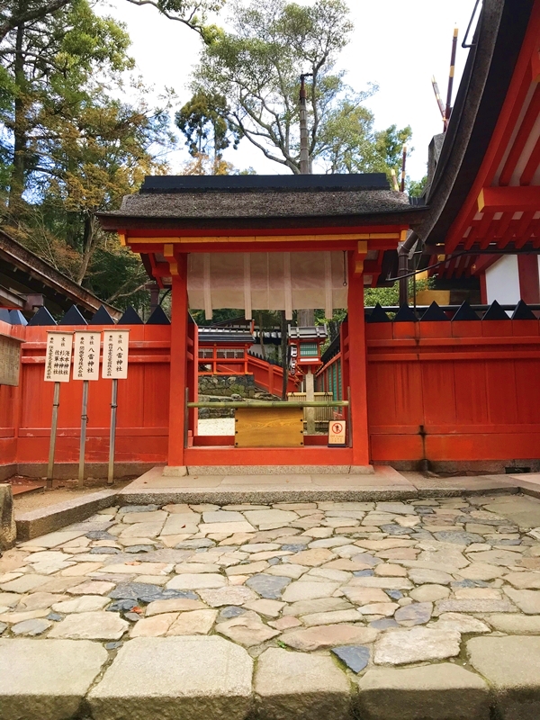 春日大社本殿裏に並ぶ後殿末社の静謐なたたずまい