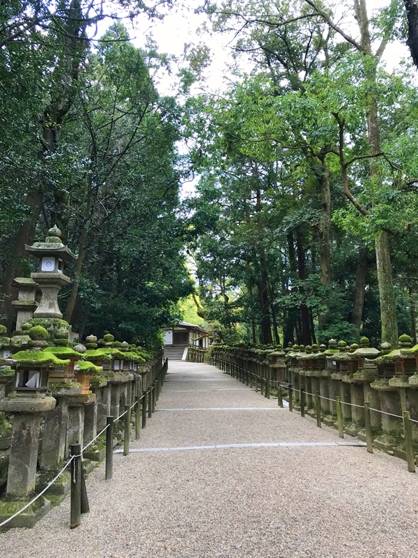 古い石燈籠が並ぶ春日大社の神聖な道・御間道の風景