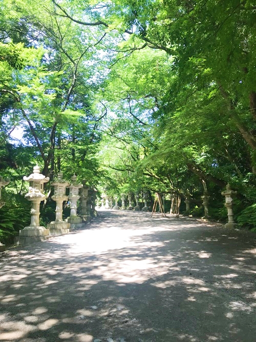 香取神宮の表参道｜パワースポットとしてのエネルギーを感じる参拝路