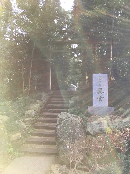 香取神宮奥宮の神秘的な光｜パワースポットのエネルギーを可視化