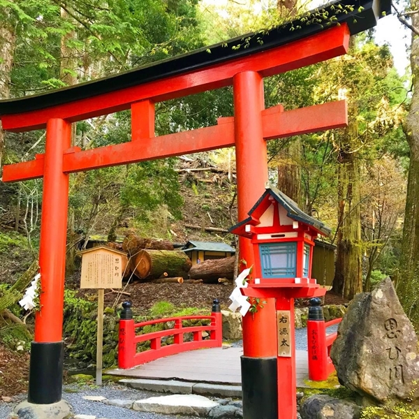 貴船神社 奥宮 鳥居 朱色の鳥居と木々に囲まれた参道入口