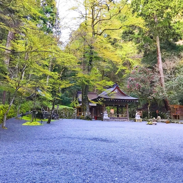 貴船神社 奥宮 神門 色鮮やかな門と静寂な境内