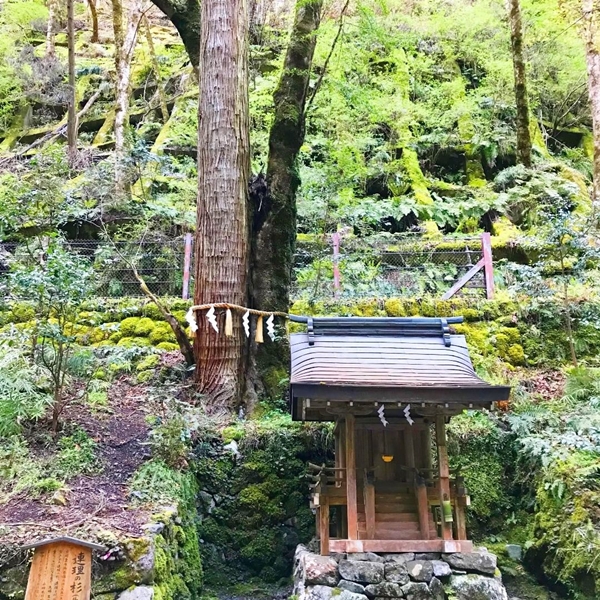 貴船神社 奥宮 連理の杉と日吉社 夫婦円満のご神木と開運厄除の末社