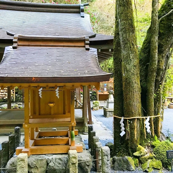 貴船神社 奥宮 鈴市社 姫蹈鞴五十鈴媛命を祀る 良縁・縁結びの末社